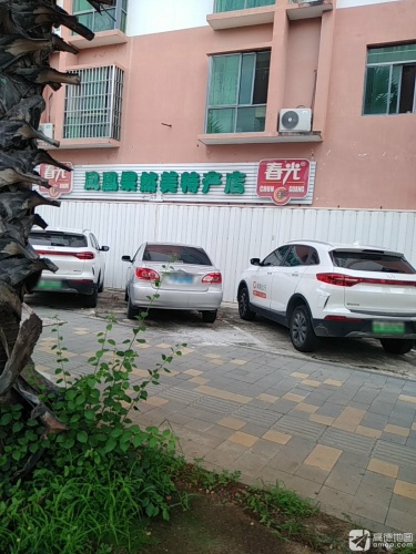 春光凤凰果然美特产店