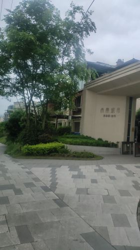 重庆龙兴专业足球场