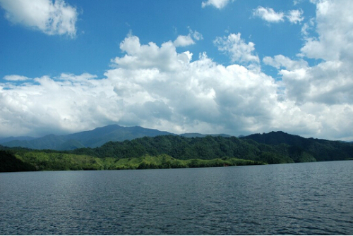 江西官山国家级自然保护区