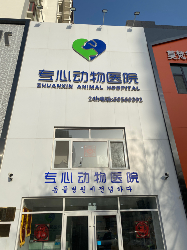 专心动物医院