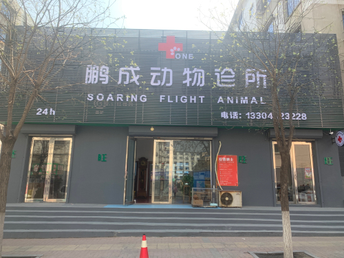 鹏成动物诊所