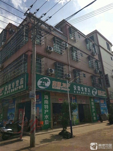 南国特产安淋专营店