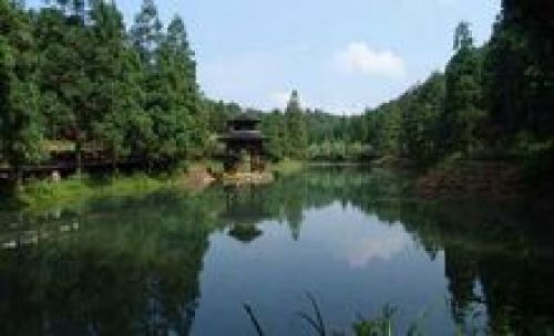 文成铜铃山森林公园景区