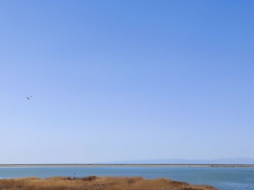 高家湖湿地景区