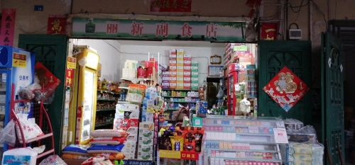 丽新副食店