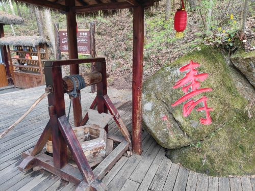 长寿泉