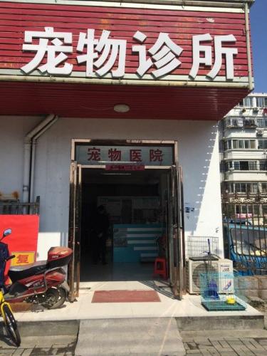 合爱宠物诊所