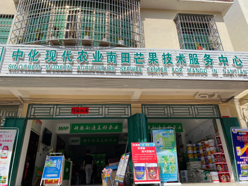 中化现代农业南田芒果技术服务中心