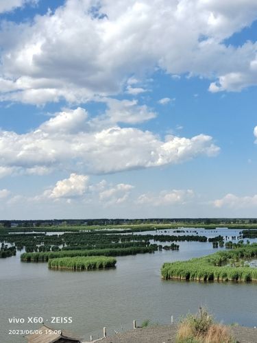 八里湖湿地公园