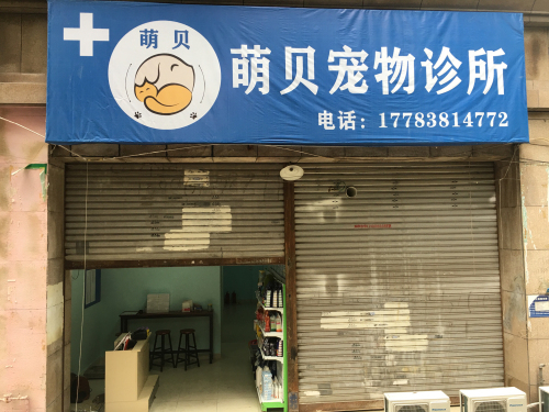江北萌贝宠物诊所