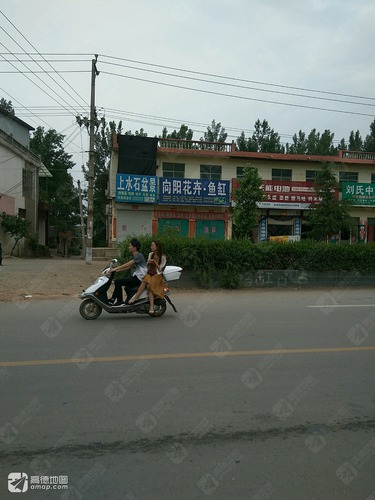 上水石盆景