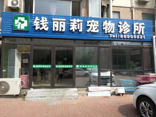 大连钱丽莉宠物诊所