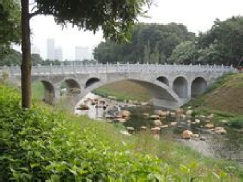 中心公园