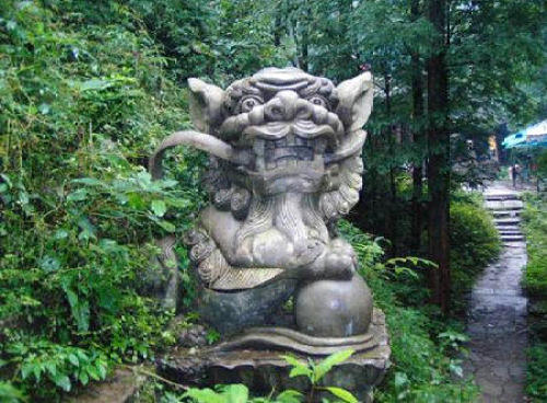 草帽龙泉