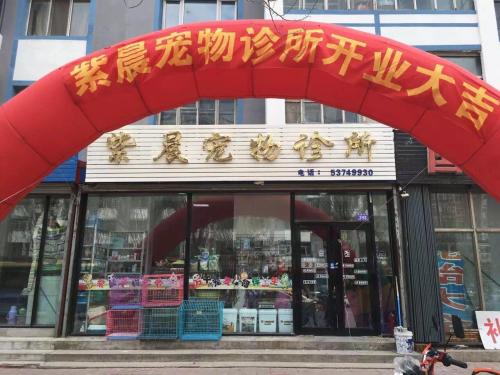 紫晨宠物诊所(阿城店)