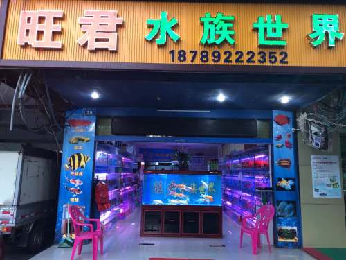 旺君水族世界(工商大厦店)