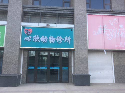 心欣动物诊所