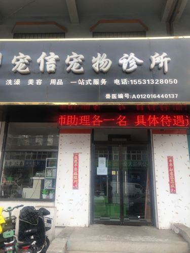 宠信宠物诊所