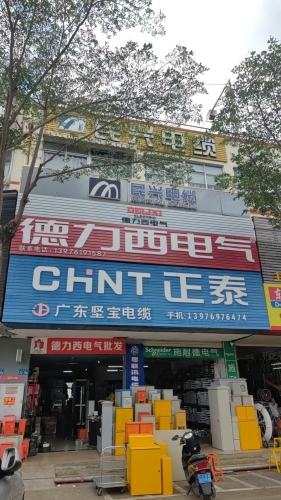 正泰德力西电气(津海店)
