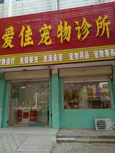 爱佳宠物诊所