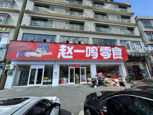 赵一鸣零食(海南定安定城镇仙沟店)