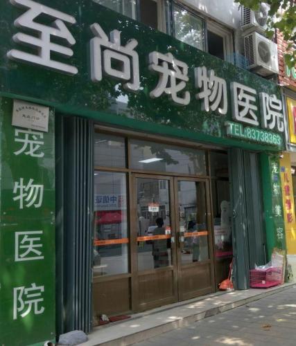 至尚宠物医院(嘉定路店)