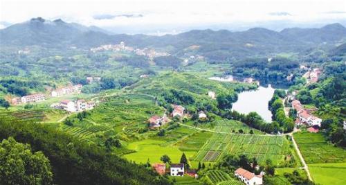 富裕县森林植物园