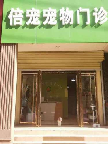 倍宠宠物医院