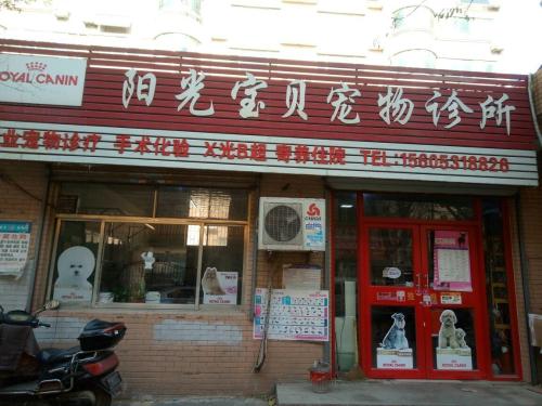 阳光宝贝宠物医院