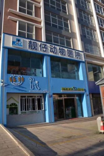 靓仔动物医院(龙泽园旗舰店)