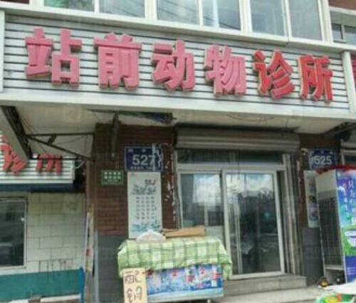 站前动物诊所(四平路)