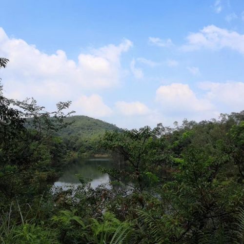 大南山利泰广场