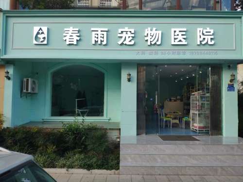 春雨宠物医院