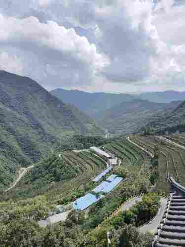 天宝梯彩农园景区