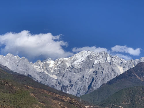 雪印金江