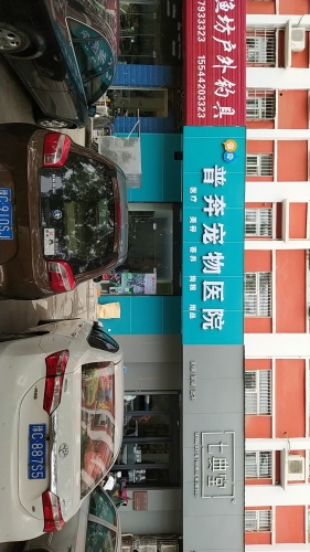 普奔宠物医院