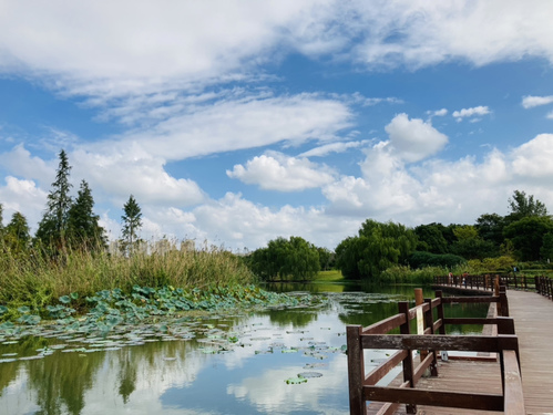 虎丘湿地公园