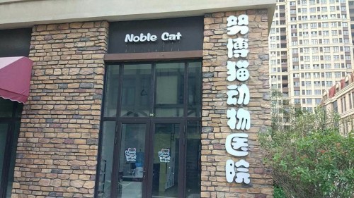 努博猫动物医院