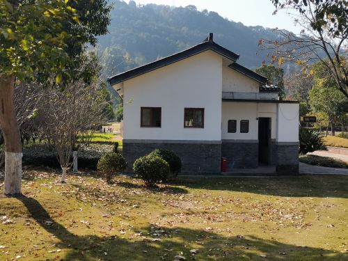河埠湿地公园