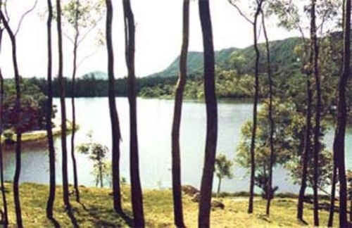 兴隆公园