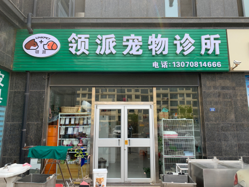 领派宠物诊所
