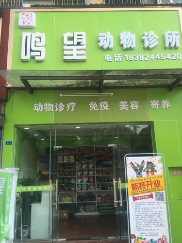 鸣望动物诊所