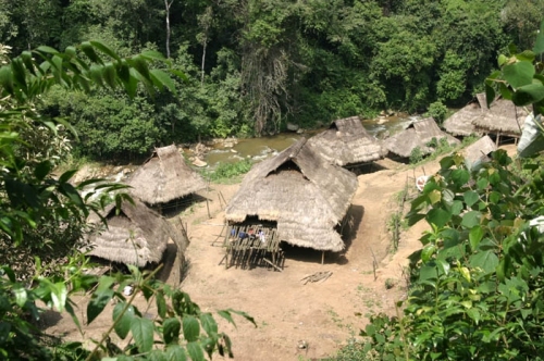 打洛森林公园