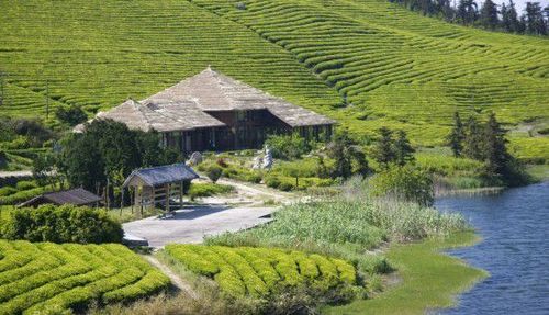 东钱湖风景名胜区福泉山景区