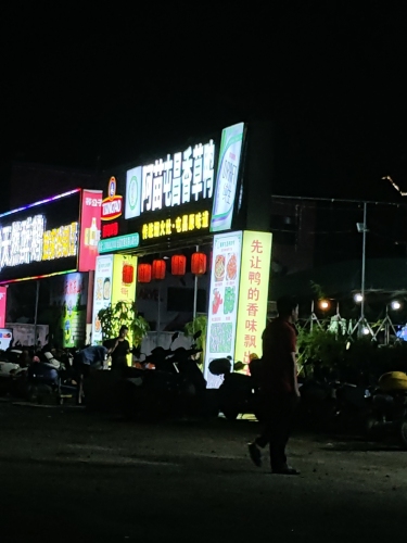 阿苗屯昌香草鸭(同心家园店)