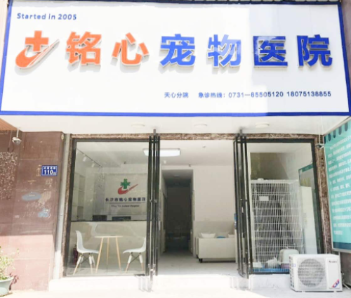 铭心宠物医院天心分院