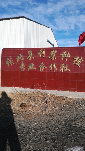 张北县利慧种植专业合作社的第1张图片的图片资料