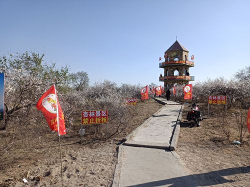 万亩杏花林景区