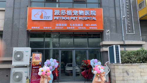 派多格宠物医院(九水东路店)