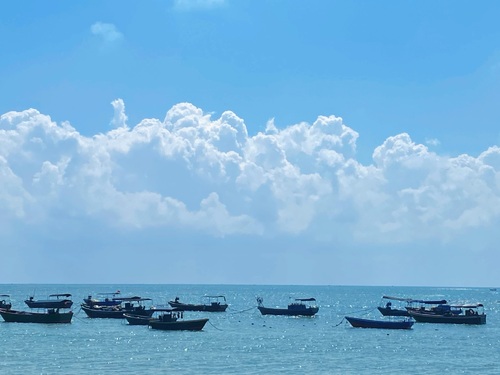 海南南丽湖国家湿地公园